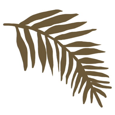 Brown palm leaf design on a white background